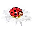 Ladybird on flower - ambiance-sticker.com