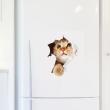 Refrigerator wall decals - Wall decal Cat in hole - ambiance-sticker.com