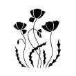 Elegant poppies flowers - ambiance-sticker.com