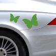 Butterfly - ambiance-sticker.com