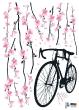 Flowers and bicycle sticker - ambiance-sticker.com