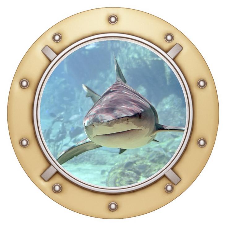 Wall decals landscape - Wall decal The shark in porthole - ambiance-sticker.com