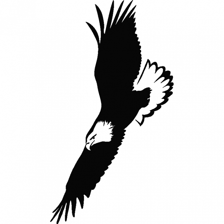 Flying eagle wall decal - ambiance-sticker.com