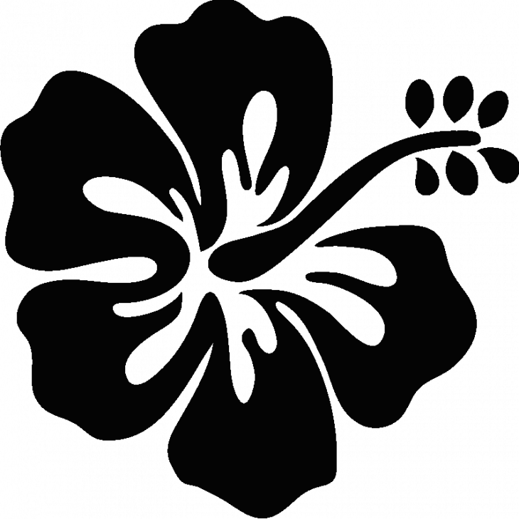 Hibiscus flower - ambiance-sticker.com