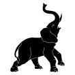 Stickers muraux Animaux - Sticker Elephant barrissement - ambiance-sticker.com